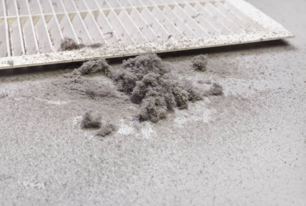 Best Affordable Duct Cleaning Services  in Rpinteria, CA