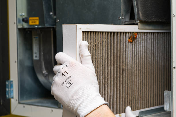 Best Affordable Duct Cleaning Services  in Rpinteria, CA